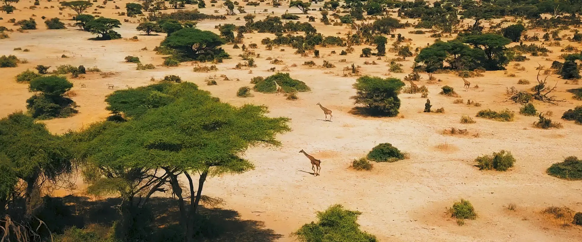 North-Tanzania By Stephan Timman